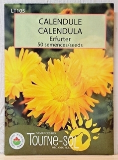 Flower SEEDS - Calendula (Tourne-sol)
